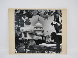 lot 161 image: Large Format Original Photo by Whitehouse Photographer Roddy Mims - View of US Capitol Through Trees