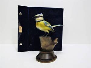 lot 10 image: Beautiful Enameled Blue Tit Bird Figurine on Carved Wood Base