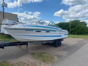 lot 14 image: 1981 Sea Ray Amberjack 255 25 0 boat.