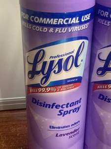 lot 22 image: Lysol Disinfectant Spray