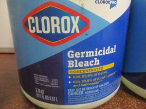 lot 120 image: Clorox Germicidal Bleach