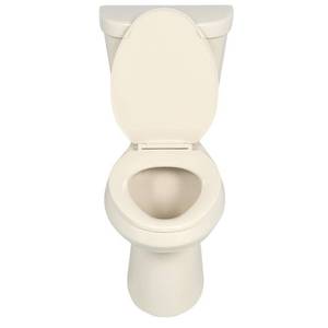 lot 519 image: Glacier Bay 2-piece 1.1 GPF1.6 GPF High Efficiency Dual Flush Elongated Toilet in Bone N2316-BNE