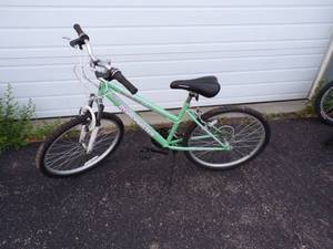 lot 139 image: Green Roadmaster bike