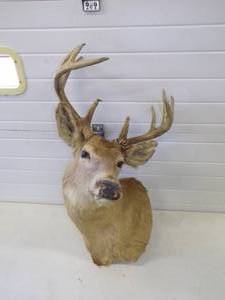 lot 221 image: Deer Mound