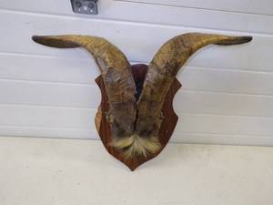 lot 222 image: Horn Mount