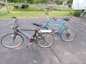 lot 313 image: Pair of bikes Raleigh and Schwinn Woodlands