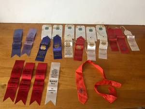 Lot of Misc. Ribbons