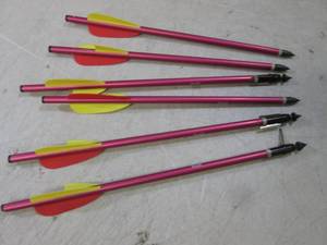 lot 253 image: 6 Aluminum 11 Crossbow BoltsArrow...