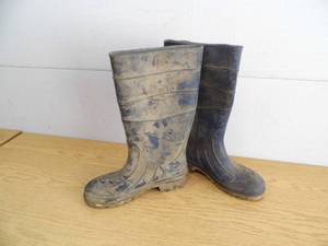 lot 55 image: Red Bull Boots