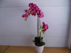 lot 103 image: Faux Orchind