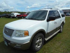 lot 1 image: 2004 Ford Expedition Eddie Bauer Edition 4x4