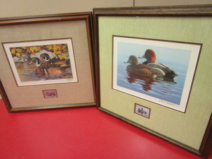 lot 338 image: MINNESOTA DUCK STAMP ART AND STAMPS, SIGNED AND NUMBERED, BY ARTISTS PHIL SCHOLER, THOMAS GROSS