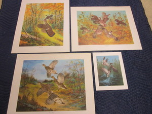 lot 348 image: BIRD WILDLIFE PRINTS, BY ARTIST SHERM PEHRSON, SIGNED
