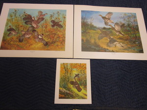 lot 349 image: BIRD WILDLIFE PRINTS, BY ARTIST SHERM PEHRSON PRINTS, SIGNED