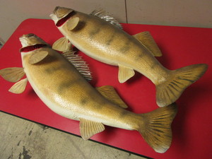 lot 359 image: WALLEYE TAXIDERMY MOUNTS