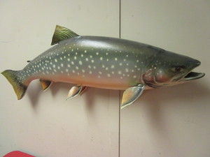 lot 361 image: ARCTIC CHAR FISH TAXIDERMY MOUNT