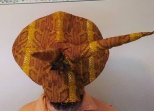 Pair of Hats