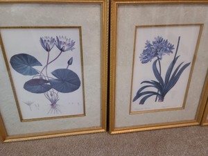 lot 51 image: Four Framed FloralBotical Prints