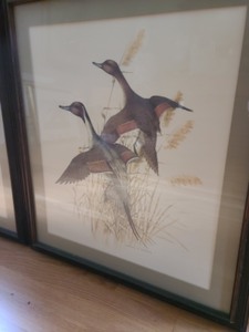 lot 89 image: Pair Of Framed Charles Murphy Prints