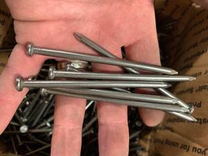 lot 48 image: 25 Pound Box 20d Nails 4