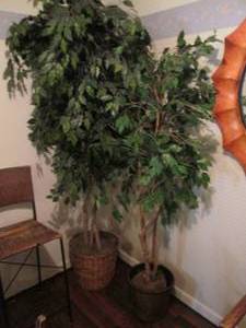 lot 184 image: (2) Artificial Trees in Planters S...