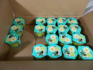 20 New Limited Edition Glade Bamboo Bliss Song Candles