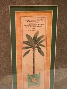 lot 138 image: Pair of Framed Tropical Themed Prints