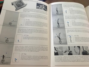 lot 50 image: Hardcover Book - The Masters Book of Ikebana
