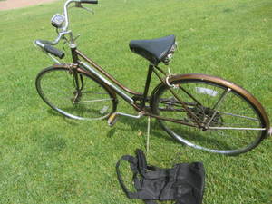 Schwinn Suburban Bicycle