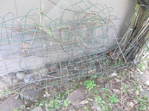 Tomato cages