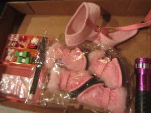 Doggie Booties & Hair Accessories
