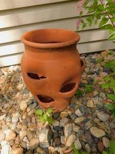Plant Pot