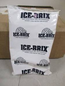Reusable Ice Packs