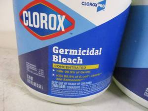 Clorox Germicidal Bleach