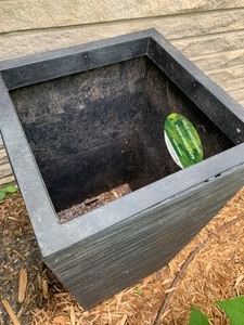 lot 45 image: Tierra Verde Planters