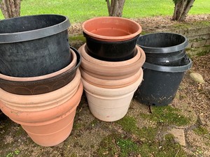 lot 75 image: Lot of Light WeightPlastic Large Planters