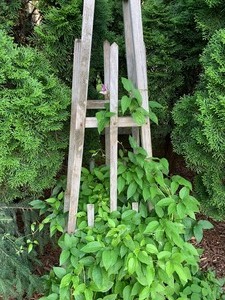 lot 132 image: Outdoor Wooden Trellis