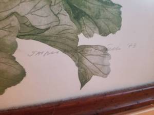 lot 78 image: Professionally Framed Print - Geraniums