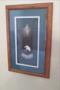 lot 43 image: Korachs Hand Painted Feather in Fr...