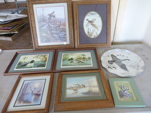 7 Framed Wildlife Prints