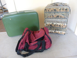 3 Travel Cases