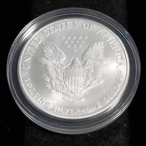 2000 COLORIZED AMERICAN SILVER EAGLE 1 TROY OZ. .999 FINE SILVER IN AIRTITE