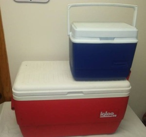 lot 16 image: 2 Coolers - Igloo 48 & Rubbermaid