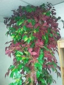 lot 90 image: 9 foot tall artificial Tree