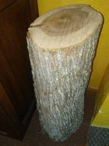 lot 149 image: Ironwood log - incredible chunk, 2  x 10  diameter - heavy, fresh cut.