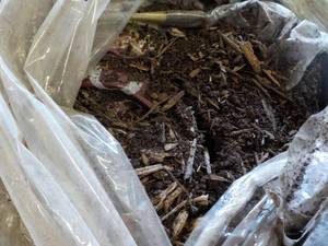 lot 335 image: Pallet of Color Enhanced Mulch Fore...