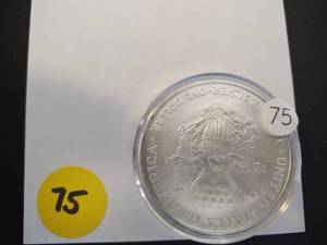 2007 American Silver Eagle