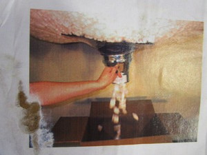 (New) Packaging Peanut Dispenser