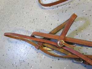Halter, Bit, Reins