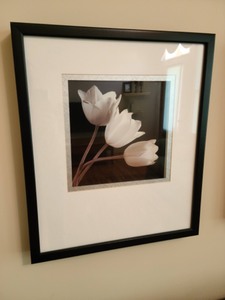 lot 4 image: Trio Of Framed Floral Prints